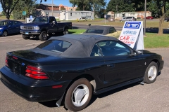 Veterans Day5 | Greater Hartford NAPA AutoCare Group